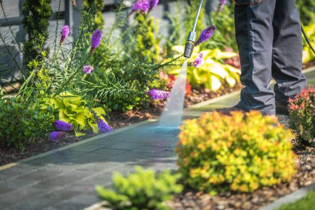 Best Patio and Deck Pressure Washing  in Vermillion, SD